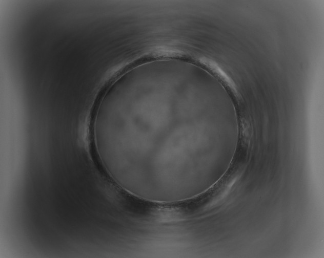 X0000100760487200806261608