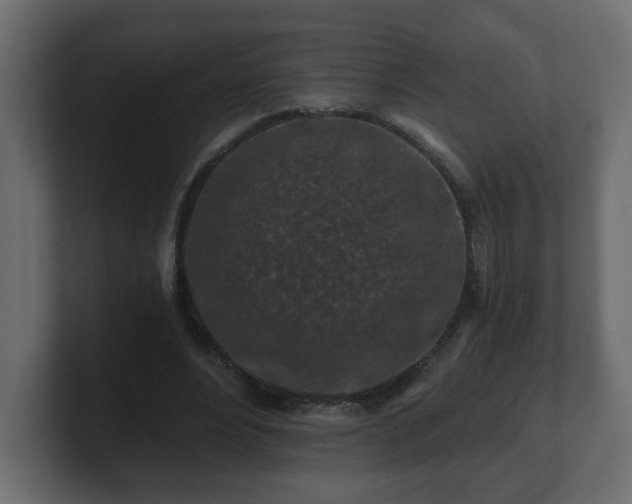 X0000100760488200806261608