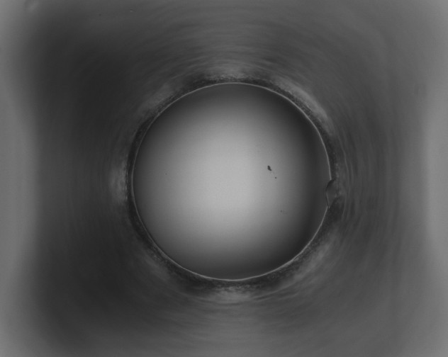 X0000100760489200806261608