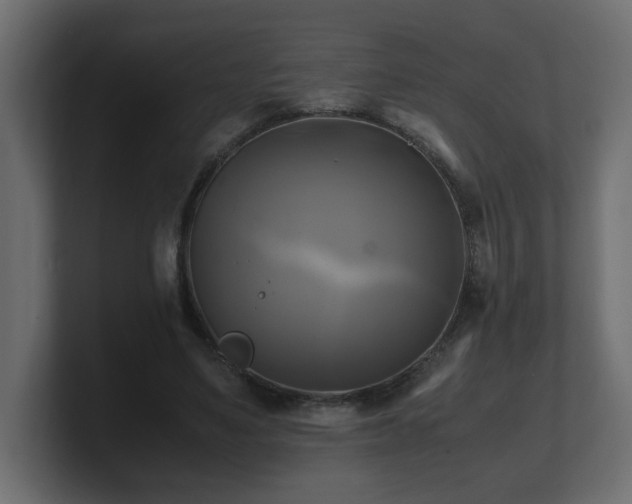 X0000100760491200806261608