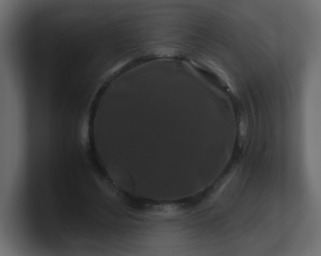 X0000100760492200806261608