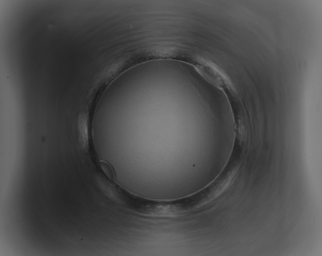 X0000100760493200806261608