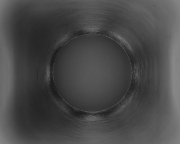 X0000100760494200806261608