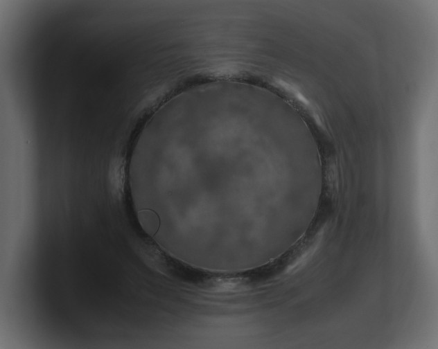 X0000100760495200806261608