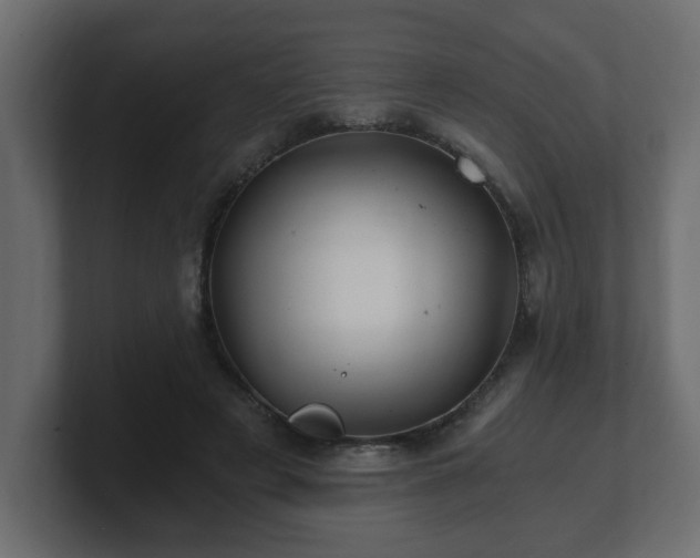 X0000100760497200806261608