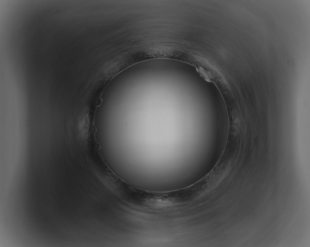 X0000100760498200806261608