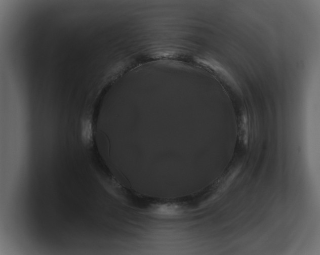 X0000100760500200806261608