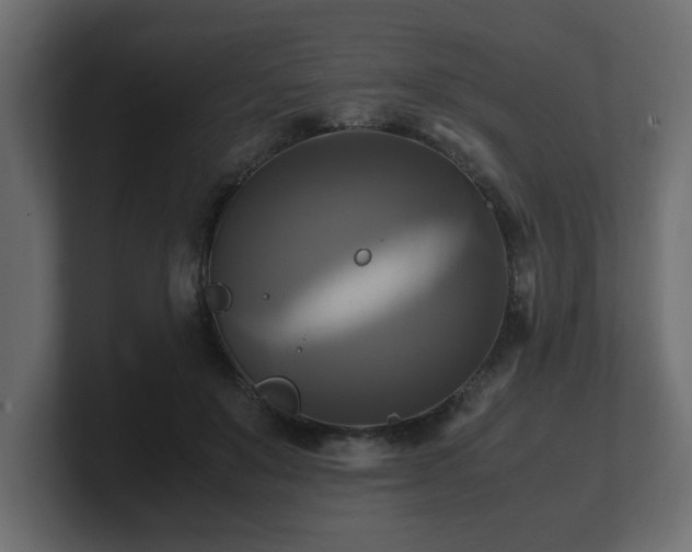 X0000100760503200806261608