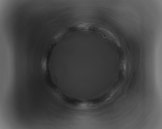 X0000100760504200806261608