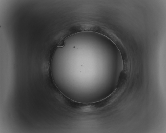 X0000100760505200806261608