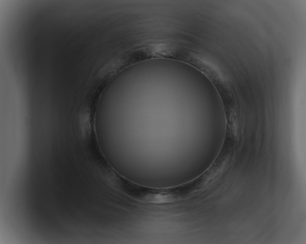 X0000100760506200806261608