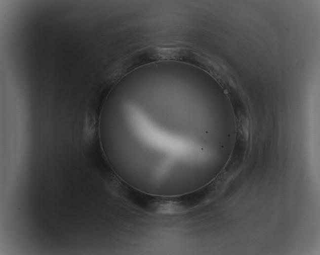 X0000100760507200806261608