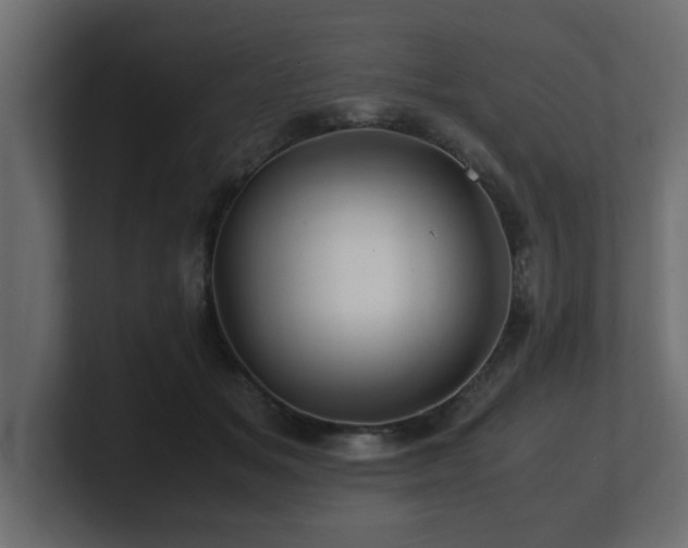 X0000100760509200806261607