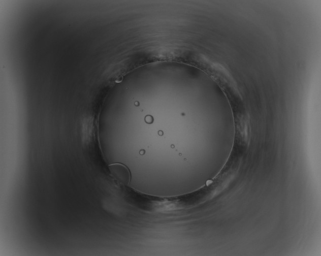 X0000100760511200806261607