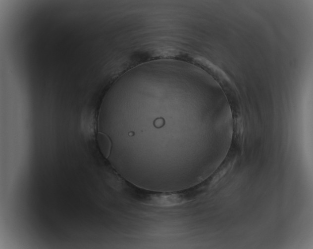 X0000100760517200806261607