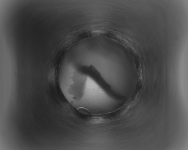 X0000100760519200806261607