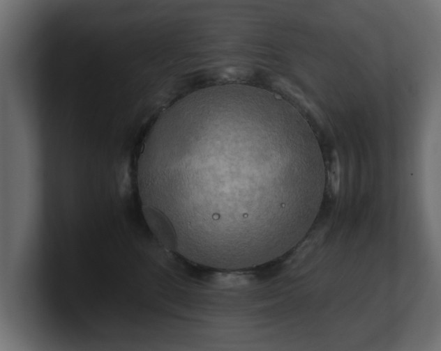 X0000100760520200806261607