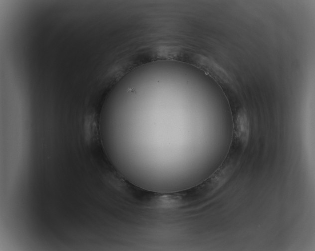 X0000100760522200806261607