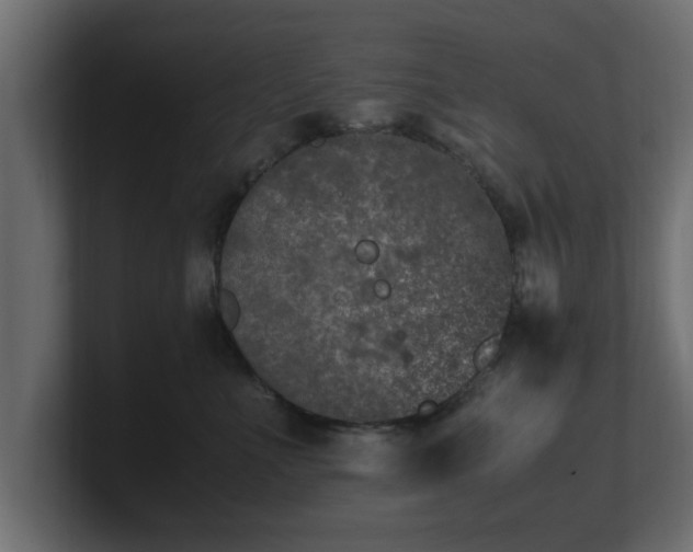 X0000100760523200806261607