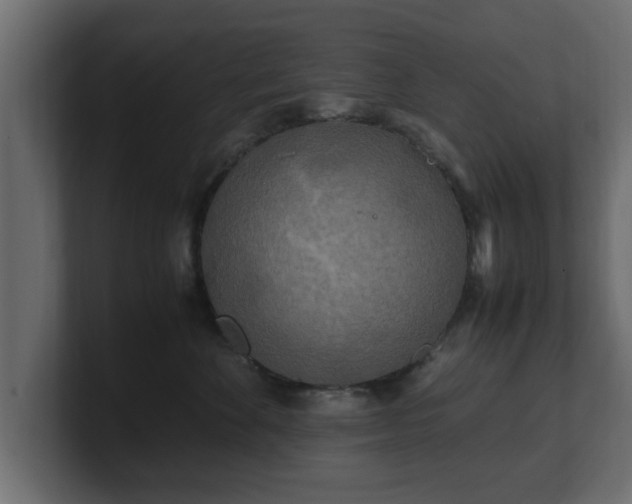 X0000100760524200806261607