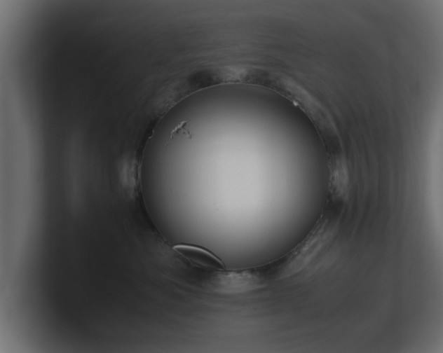 X0000100760525200806261607