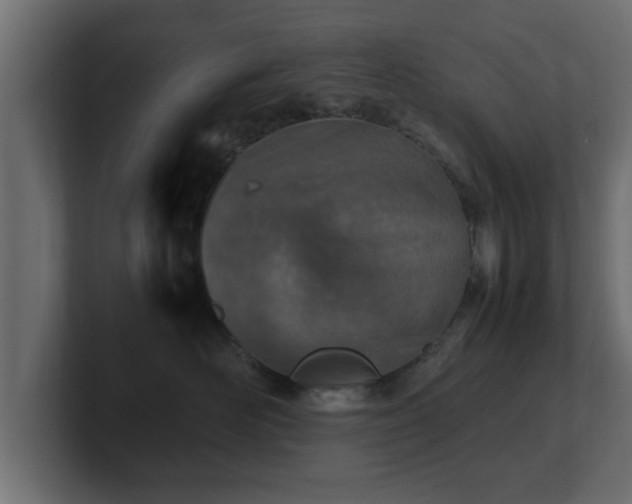 X0000100760526200806261607