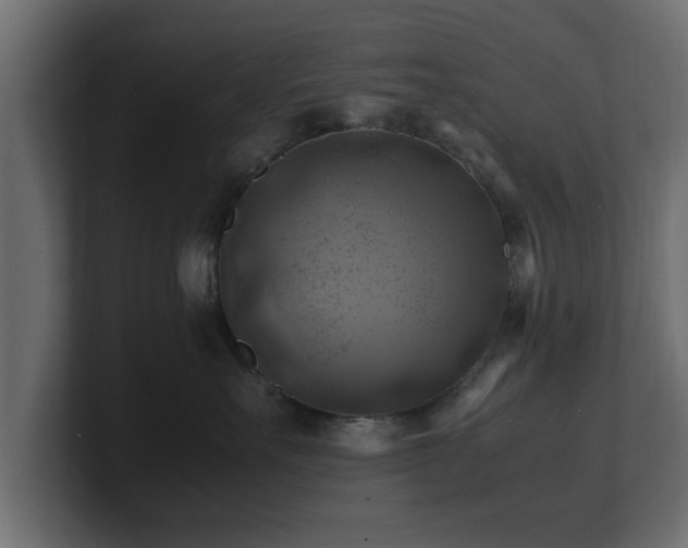 X0000100760527200806261607