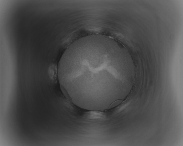 X0000100760528200806261607