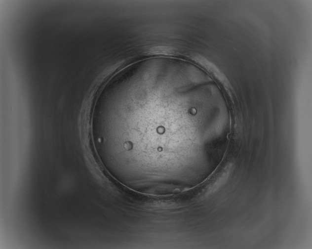 X0000100760529200806261607