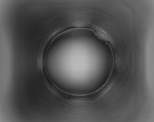 X0000100760530200806261607