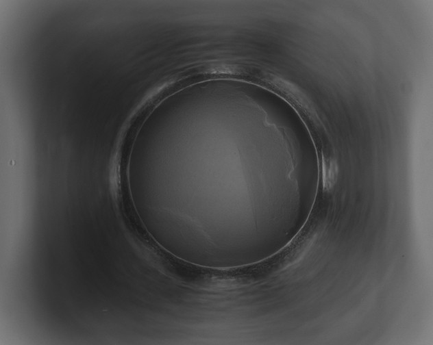 X0000100760531200806261607