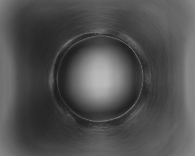 X0000100760532200806261607