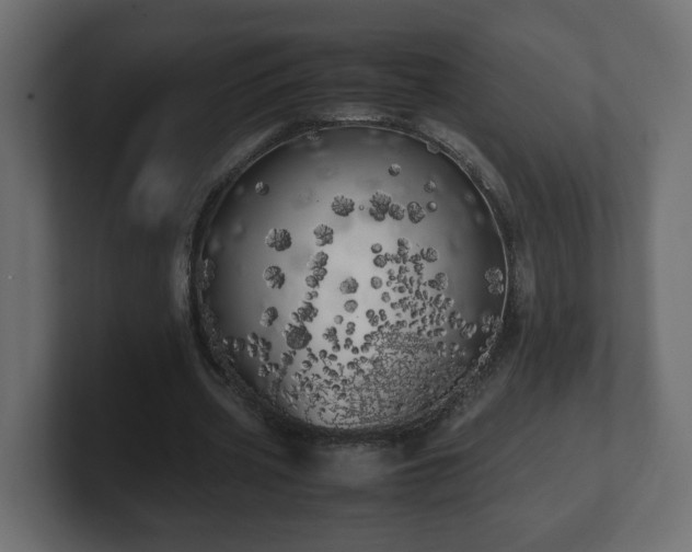 X0000100760533200806261607