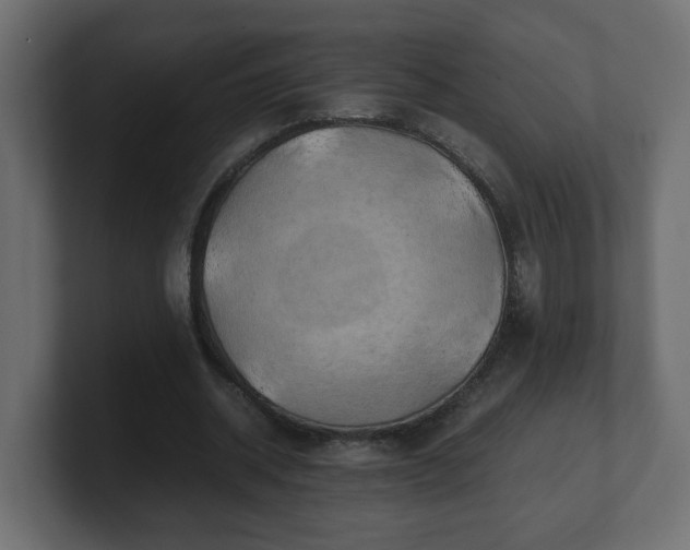 X0000100760534200806261607