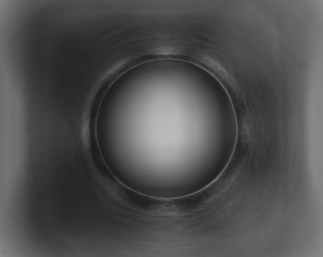 X0000100760535200806261607