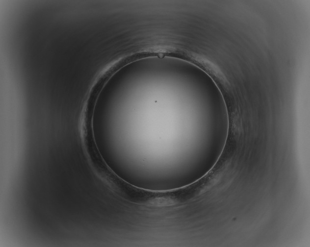 X0000100760536200806261607