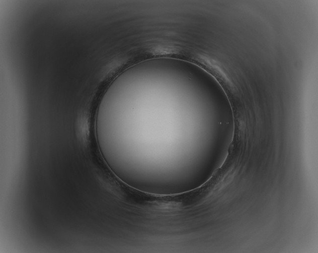 X0000100760539200806261607