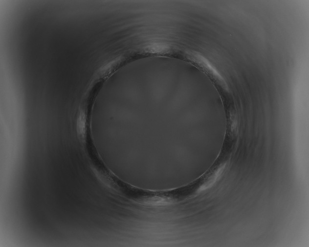 X0000100760542200806261607