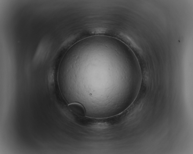 X0000100760543200806261607