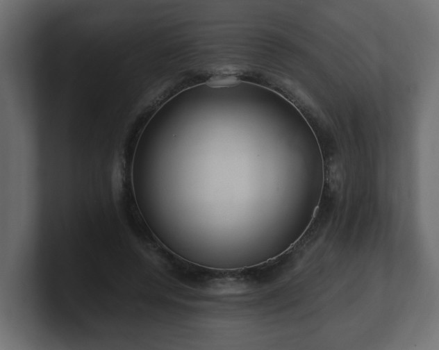 X0000100760544200806261607