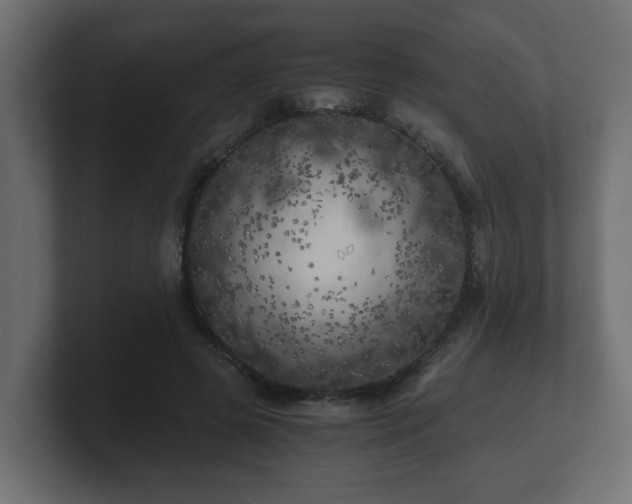 X0000100760545200806261607