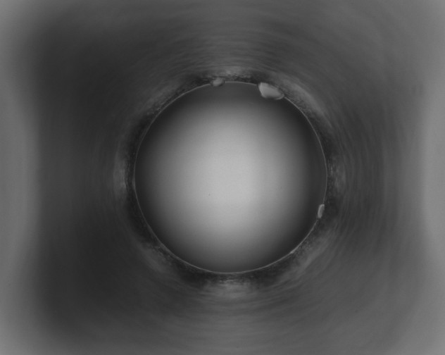 X0000100760546200806261607