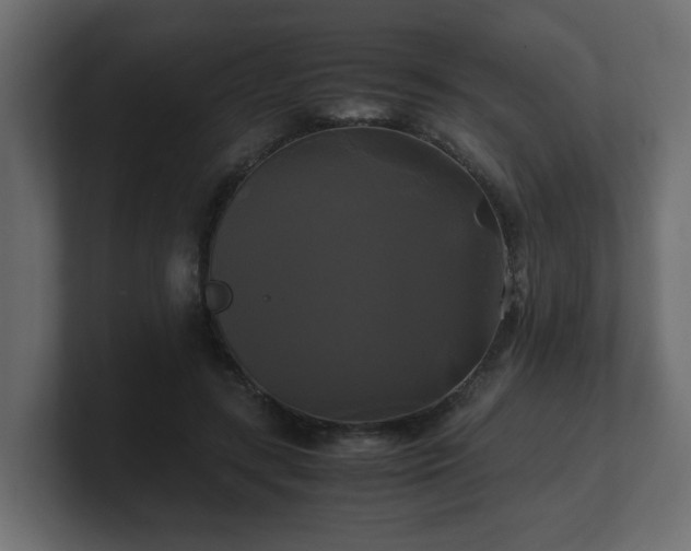 X0000100760547200806261607