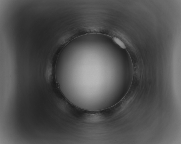 X0000100760548200806261607