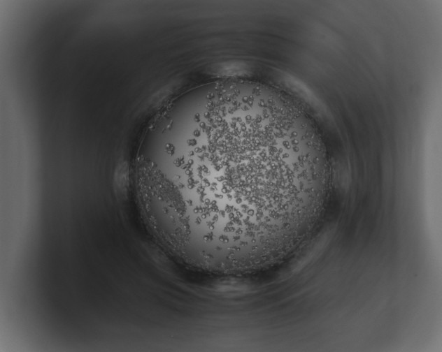 X0000100760549200806261607