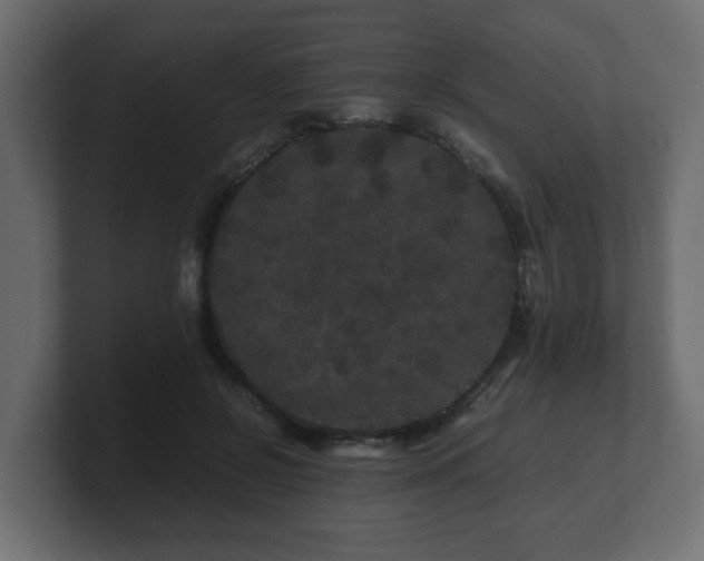 X0000100760550200806261607