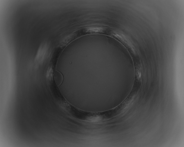 X0000100760551200806261607