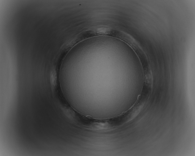 X0000100760552200806261607