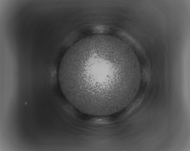 X0000100760557200806261607