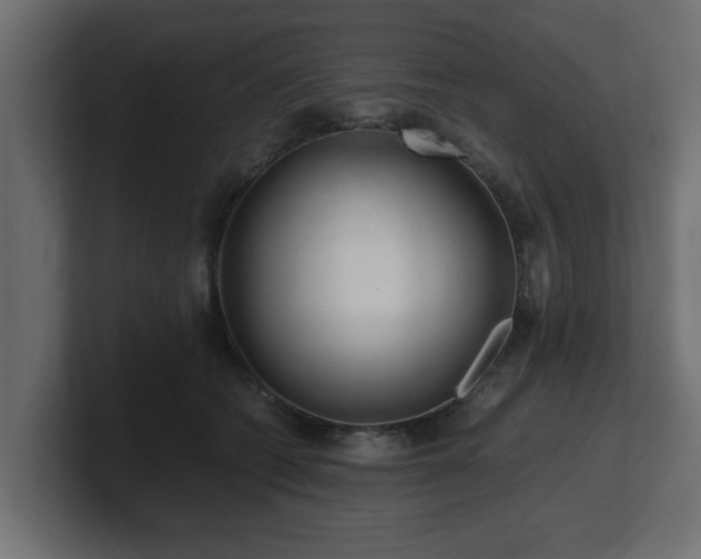 X0000100760562200806261607